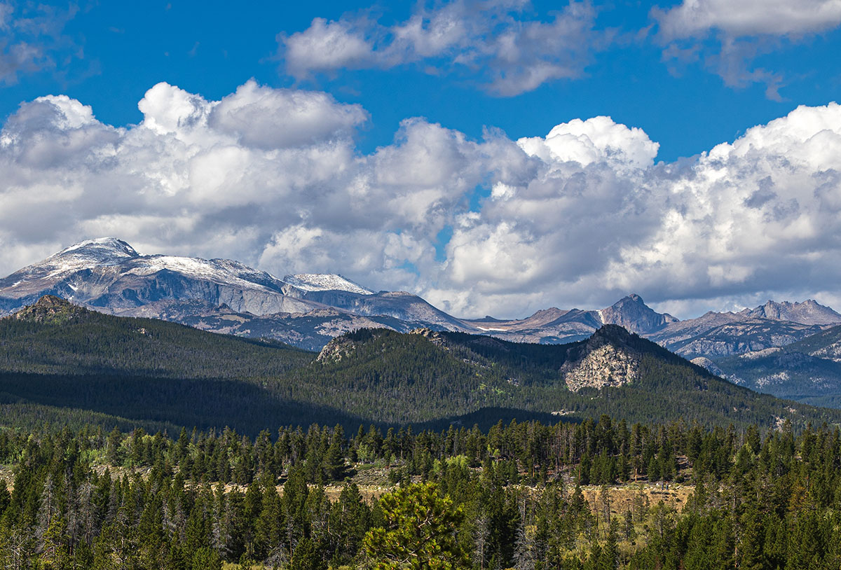 Snow capped mountains and dense forest